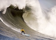 使用方法功能介绍：米兰手机版（实测）