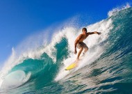 平台服务介绍中米兰app官网的表现详解