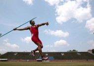 米兰官网平台使用建议全面解析