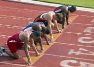 新手入门指南：米兰官网