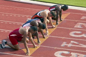 新手入门指南：米兰官网